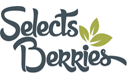 Selects Berries de los Reyes